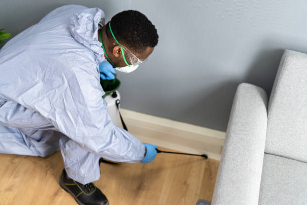 Reliable Steubenville, OH Pest control Solutions